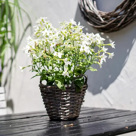 아파트 Gaestewohnungen Am 